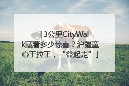 3公里CityWalk藏着多少惊喜？沪疆童心手拉手，“益起走”