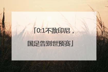 0:1不敌印尼，国足告别世预赛