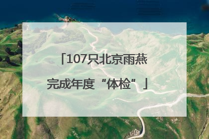 107只北京雨燕完成年度“体检”