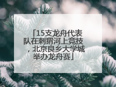 15支龙舟代表队在刺猬河上竞技，北京良乡大学城举办龙舟赛