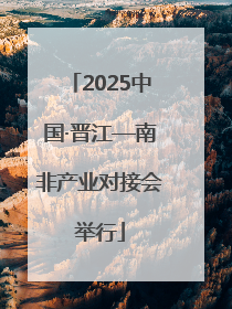 2025中国·晋江—南非产业对接会举行