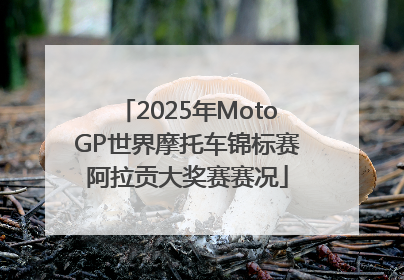 2025年MotoGP世界摩托车锦标赛阿拉贡大奖赛赛况