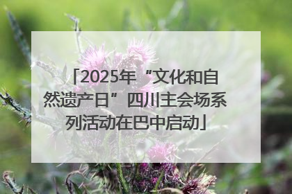 2025年“文化和自然遗产日”四川主会场系列活动在巴中启动
