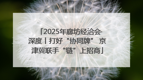 2025年廊坊经洽会·深度丨打好“协同牌” 京津冀联手“链”上招商