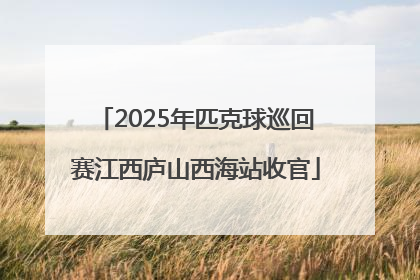 2025年匹克球巡回赛江西庐山西海站收官