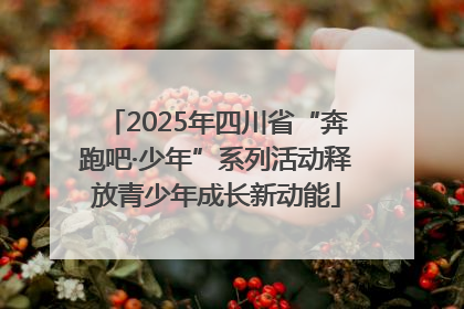 2025年四川省“奔跑吧·少年”系列活动释放青少年成长新动能