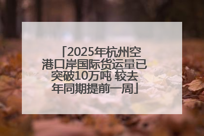 2025年杭州空港口岸国际货运量已突破10万吨 较去年同期提前一周