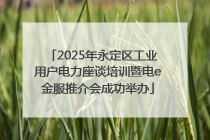 2025年永定区工业用户电力座谈培训暨电e金服推介会成功举办