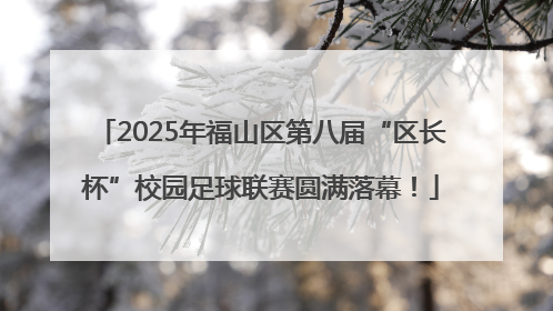 2025年福山区第八届“区长杯”校园足球联赛圆满落幕！