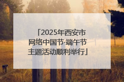 2025年西安市网络中国节·端午节主题活动顺利举行