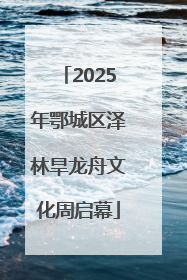 2025年鄂城区泽林旱龙舟文化周启幕