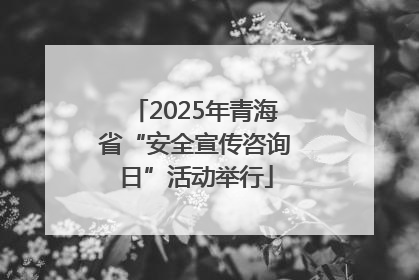 2025年青海省“安全宣传咨询日”活动举行