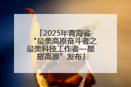2025年青海省“最美高原奋斗者之最美科技工作者—星耀高原”发布
