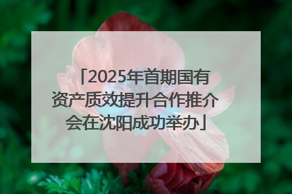 2025年首期国有资产质效提升合作推介会在沈阳成功举办