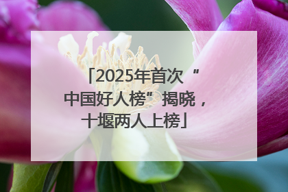 2025年首次“中国好人榜”揭晓，十堰两人上榜