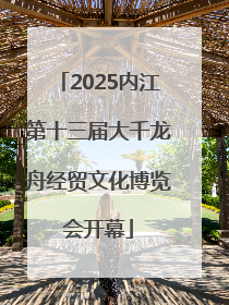 2025内江第十三届大千龙舟经贸文化博览会开幕