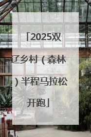 2025双辽乡村（森林）半程马拉松开跑
