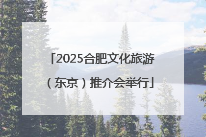 2025合肥文化旅游（东京）推介会举行
