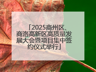 2025商州区、商洛高新区高质量发展大会暨项目集中签约仪式举行