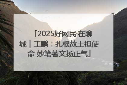 2025好网民·在聊城｜王鹏：扎根故土担使命 妙笔著文扬正气