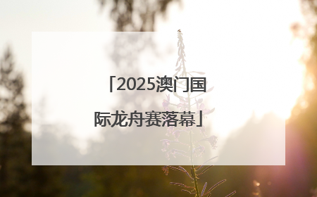 2025澳门国际龙舟赛落幕