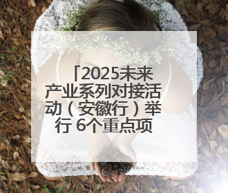 2025未来产业系列对接活动（安徽行）举行 6个重点项目现场签约