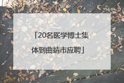 20名医学博士集体到曲靖市应聘