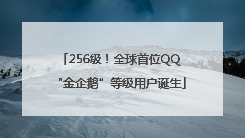 256级！全球首位QQ“金企鹅”等级用户诞生