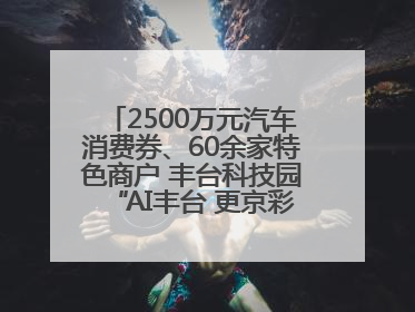 2500万元汽车消费券、60余家特色商户 丰台科技园“AI丰台 更京彩”未来玩家市集活动正式开幕