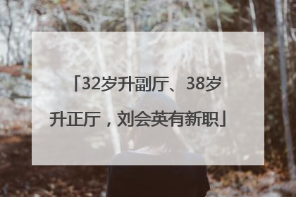 32岁升副厅、38岁升正厅，刘会英有新职