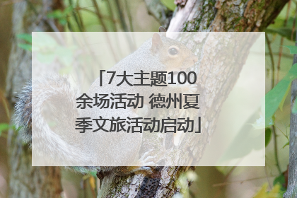 7大主题100余场活动 德州夏季文旅活动启动
