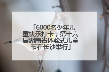 6000名少年儿童快乐打卡，第十六届湖南省体验式儿童节在长沙举行