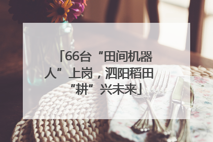 66台“田间机器人”上岗，泗阳稻田“耕”兴未来