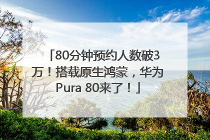 80分钟预约人数破3万！搭载原生鸿蒙，华为Pura 80来了！