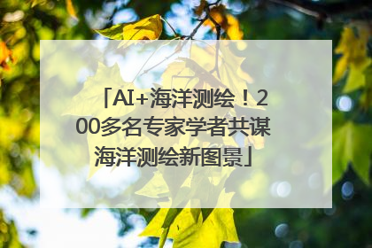 AI+海洋测绘！200多名专家学者共谋海洋测绘新图景
