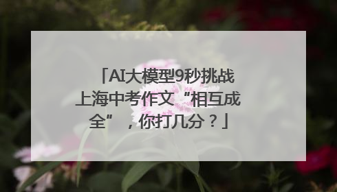 AI大模型9秒挑战上海中考作文“相互成全”，你打几分？