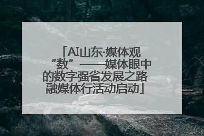 AI山东·媒体观“数”——媒体眼中的数字强省发展之路融媒体行活动启动