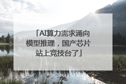 AI算力需求涌向模型推理，国产芯片站上竞技台了