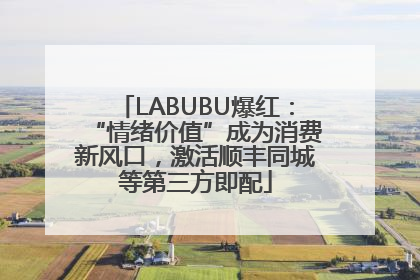 LABUBU爆红：“情绪价值”成为消费新风口，激活顺丰同城等第三方即配
