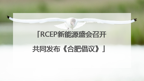 RCEP新能源盛会召开 共同发布《合肥倡议》